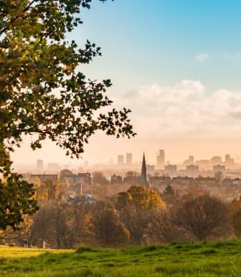 letting agents in hampstead london