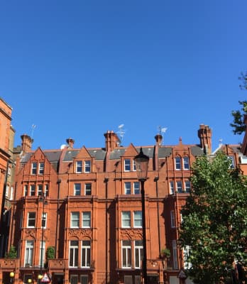 letting agents knightsbridge london