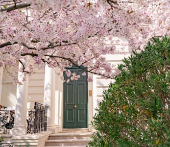 real estate agents notting hill